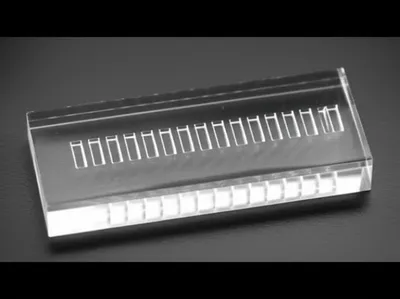 Illustration combs - Image 1