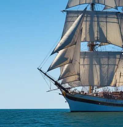 Illustration leech - Image 1