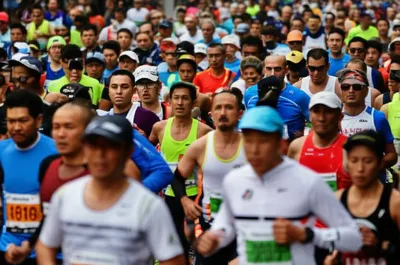 Illustration bogy - Image 1