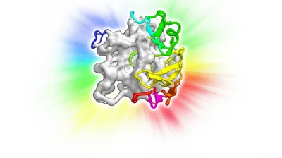 Illustration activates - Image 1