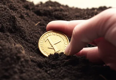 Illustration cheapened