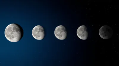 Illustration waning - Image 1