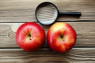 Illustration resembled - Image 1