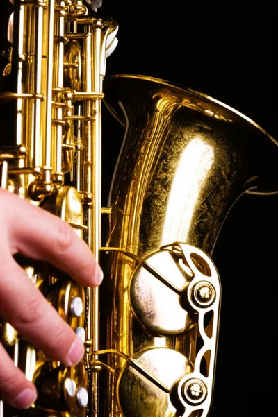 Illustration chops - Image 1