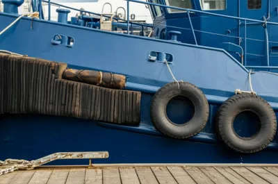 Illustration dolphins - Image 1