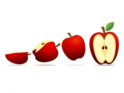 Illustration declination - Image 1