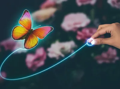 Illustration lassos - Image 1