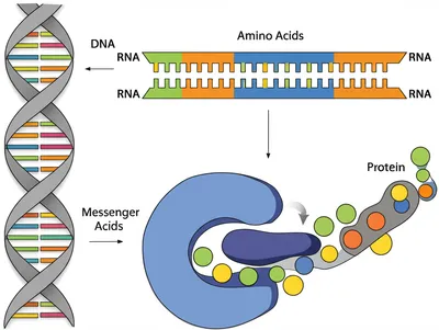 Hình ảnh minh họa code - Ảnh 1