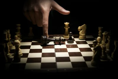 Illustration tops - Image 1