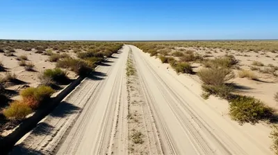 Illustration peter - Image 1