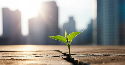 Illustration persisting - Image 1