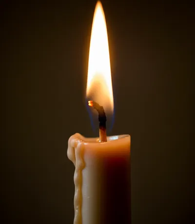 Illustration end - Image 1