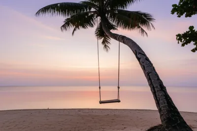 Illustration calmed - Image 1