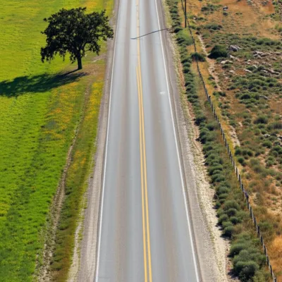 Illustration roadside