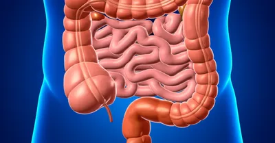 Illustration ilia - Image 1