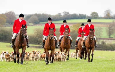 Illustration pink - Image 1