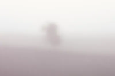 Illustration dag - Image 1