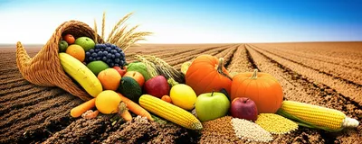 Illustration capacities - Image 1