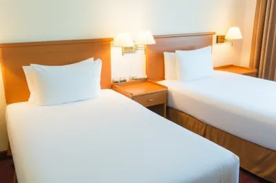 Illustration twins - Image 1