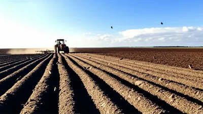 Illustration plowed - Image 1