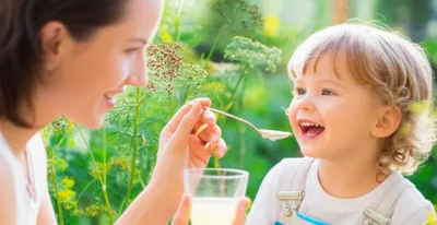 Illustration dill - Image 1