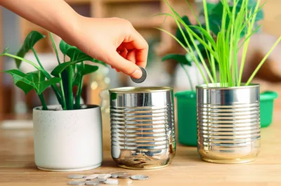 Illustration thrifty