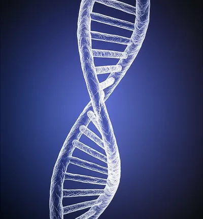 Illustration entangling - Image 1