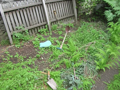 Illustration unkempt - Image 1