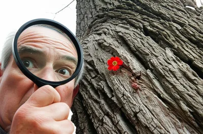 Illustration remark - Image 1