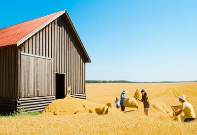 Illustration providence - Image 1