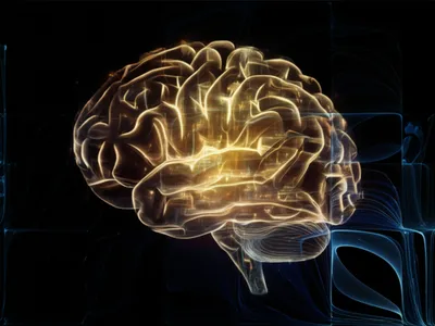 Illustration competency - Image 1