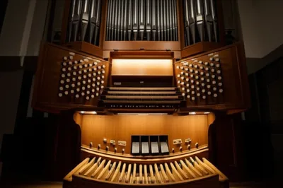 Illustration pedal - Image 1