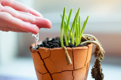 Illustration recovers - Image 1