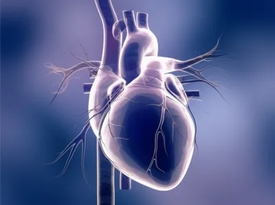 Illustration wandering - Image 1