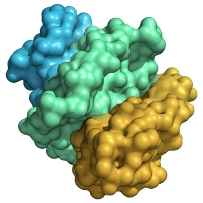 Illustration ft - Image 1