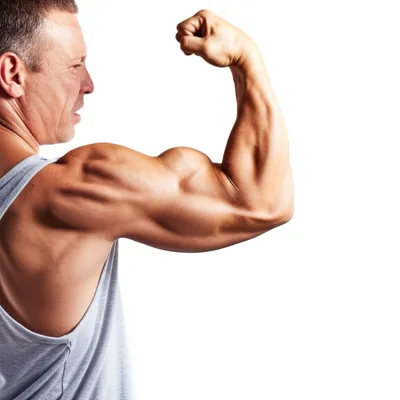 Illustration flex - Image 1