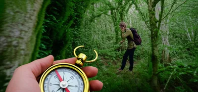 Hình ảnh minh họa bags - Ảnh 1