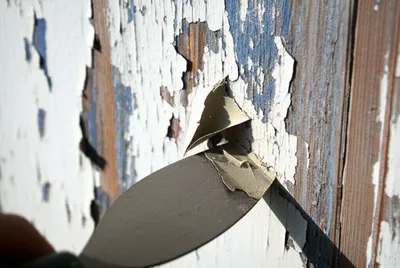 Illustration scraping - Image 1