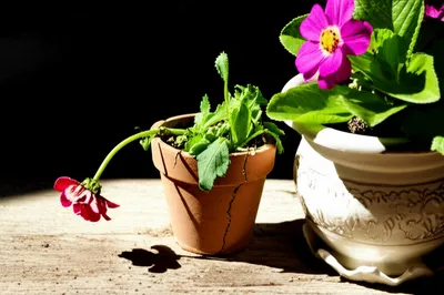 Illustration depreciate - Image 1