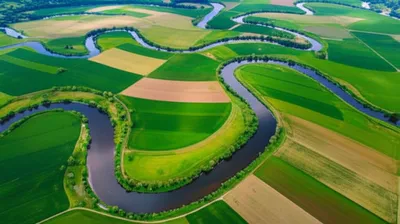 Illustration links - Image 1