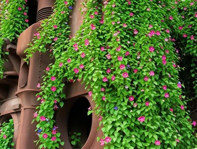 Illustration reclaimed - Image 1