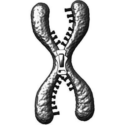 Illustration deletions - Image 1