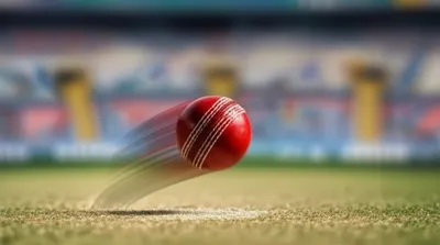 Illustration seaming - Image 1