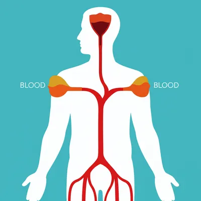 Illustration blood - Image 1