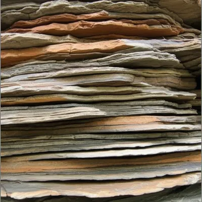 Illustration foliated - Image 1