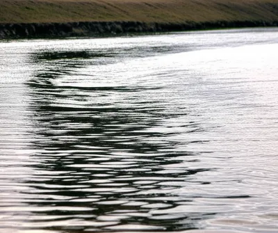 Illustration amenable - Image 1