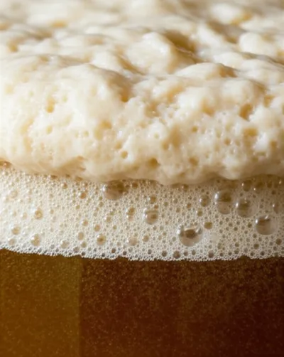 Illustration spurge - Image 1