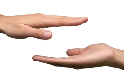 Illustration reply - Image 1