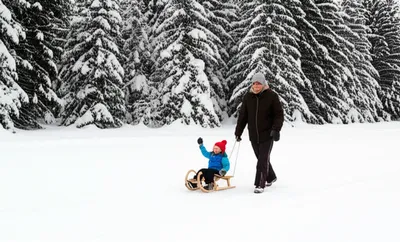 Illustration sledge - Image 1