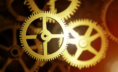 Illustration specialize